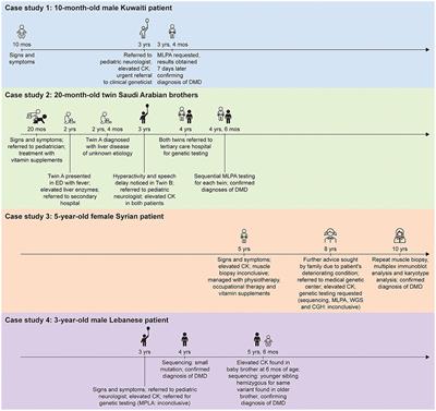 Case Report: The Genetic Diagnosis of Duchenne Muscular Dystrophy in the Middle East